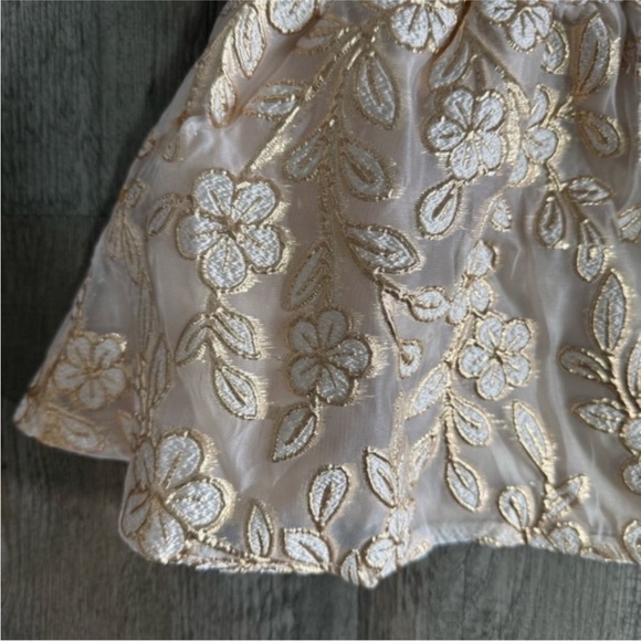Rare Editions Gold Brocade Floral Burnout Organza Baby Girl Dress Bloomers NWT - Picture 5 of 6